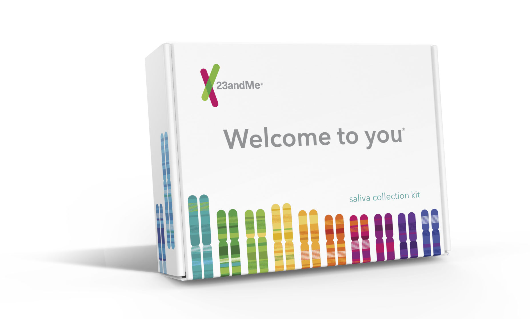 Gift Guide DNA For The Holidays
